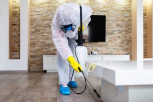 disinfection-for-homes-and-workplaces